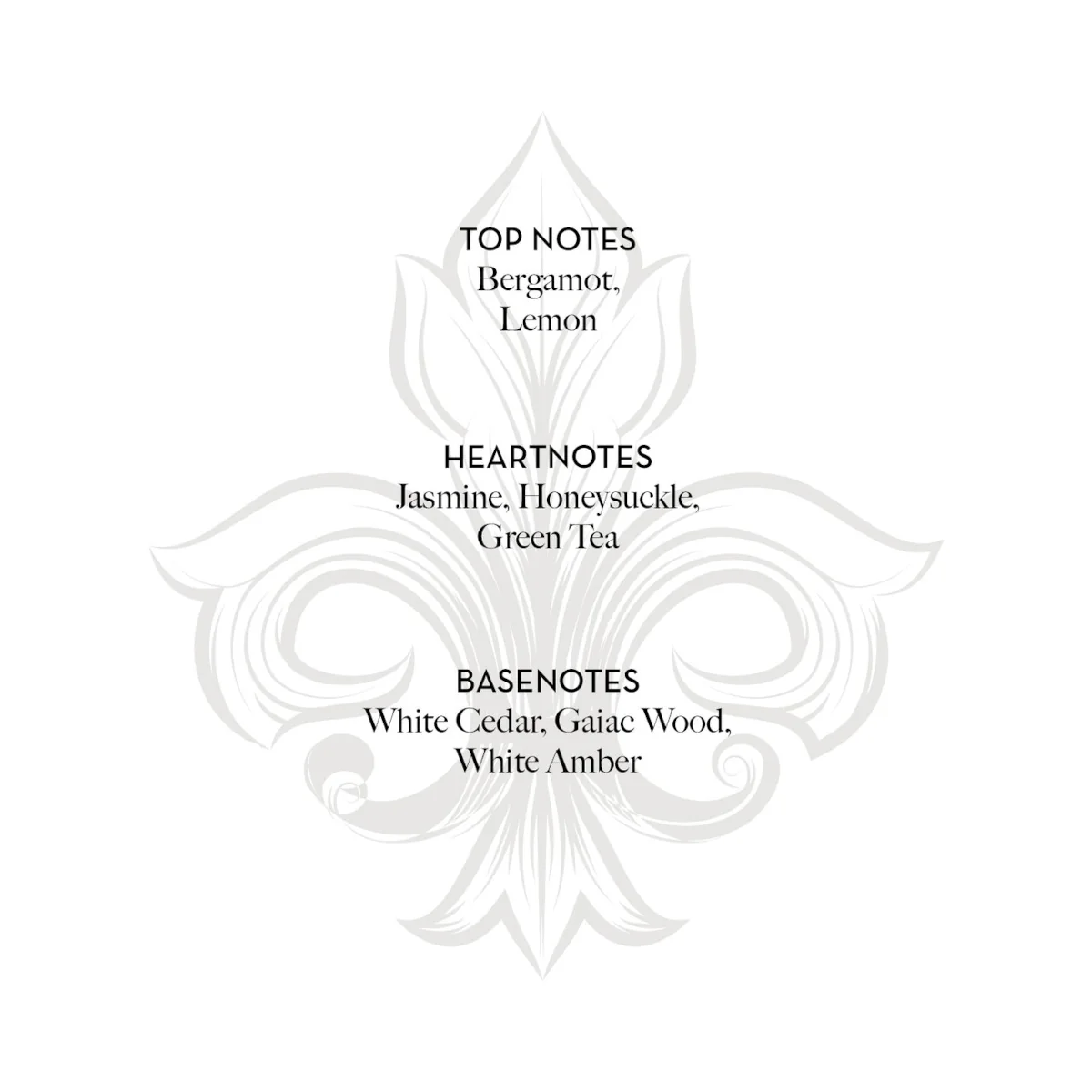 Fragonard Jasmin Perle de The Hand Cream 75ml - Image 2