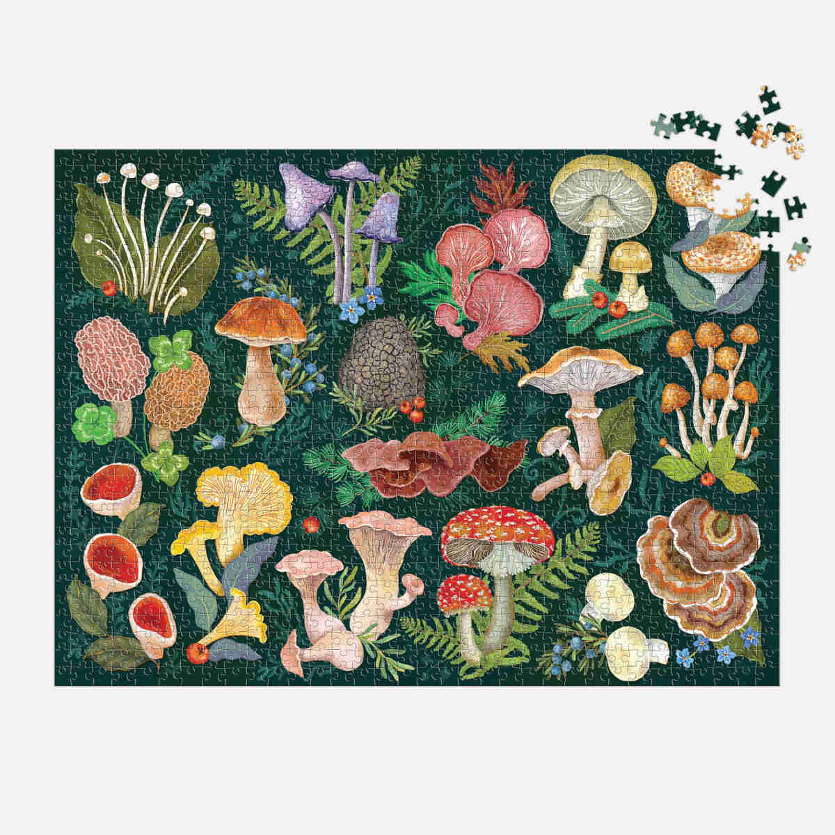 Galison World of Mushrooms Puzzle 1000 Piece - Image 3