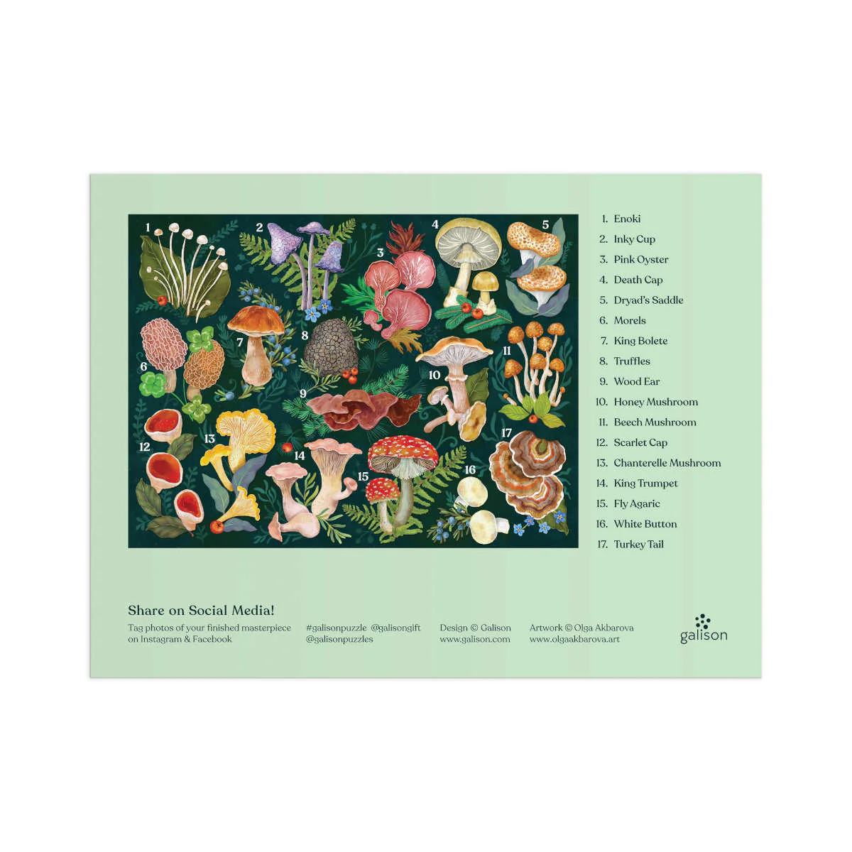 Galison World of Mushrooms Puzzle 1000 Piece - Image 4