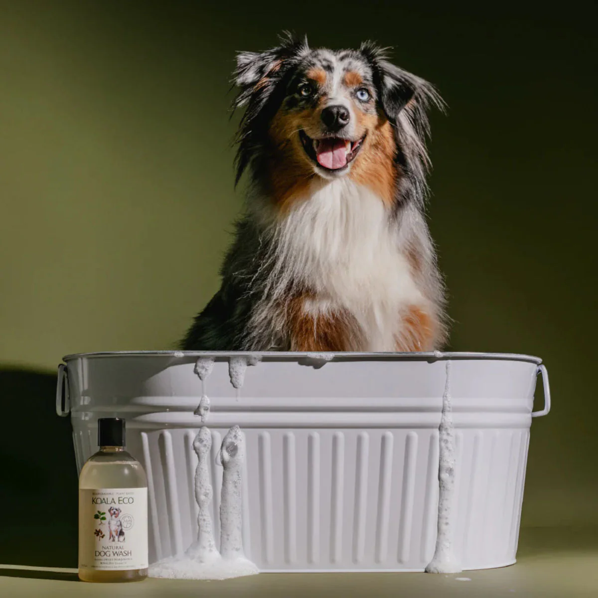 Koala Eco Marjoram & Rosalina Dog Wash 500ml - Image 3