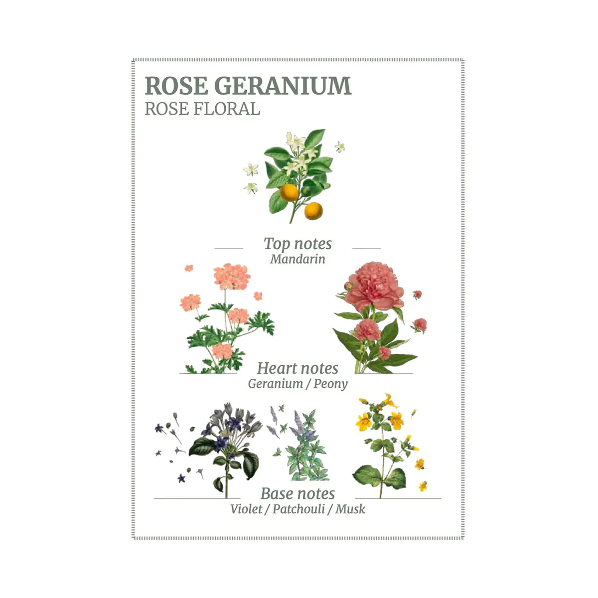 Panier Des Sens Rose Geranium Hand Cream 30ml - Image 2