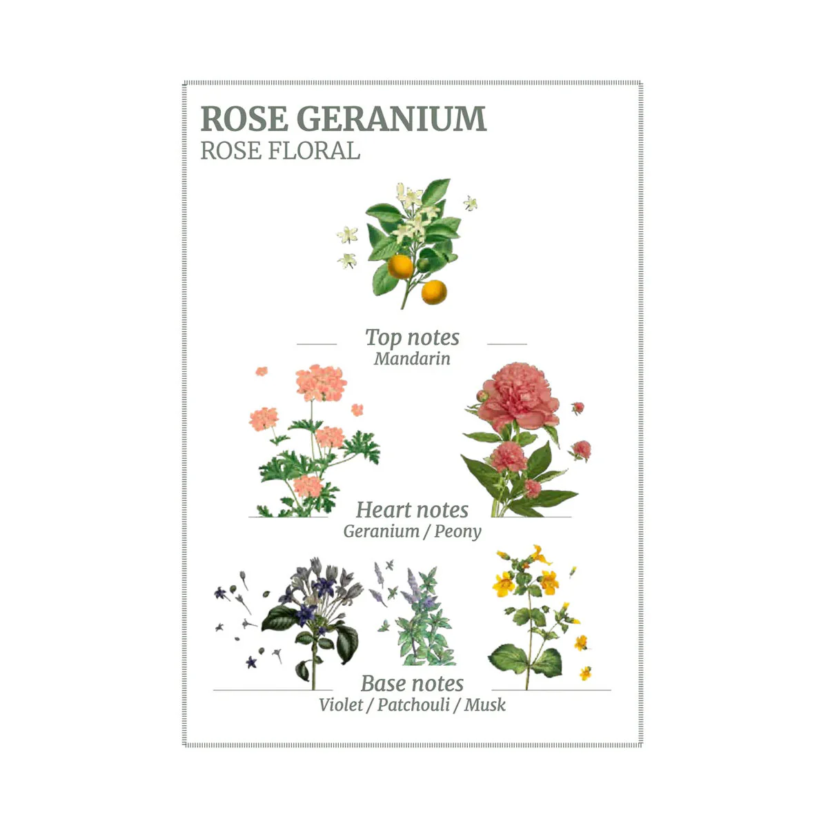 Panier Des Sens Rose Geranium Hand Cream 75ml - Image 2