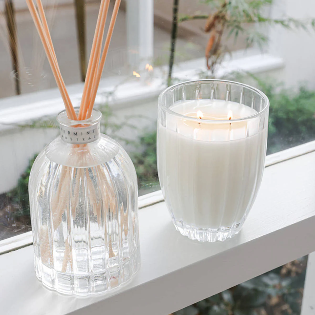 Peppermint Grove Australia Lemongrass & Lime Large Candle 370g - Image 2
