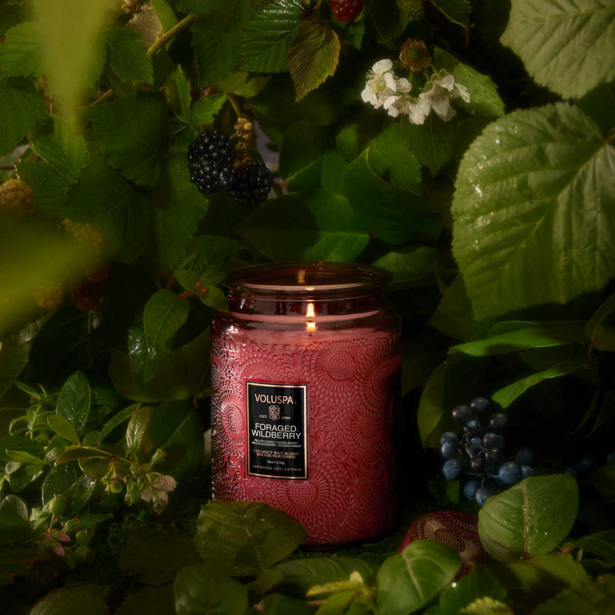 Voluspa Foraged Wildberry 100 Hour Candle - Image 3