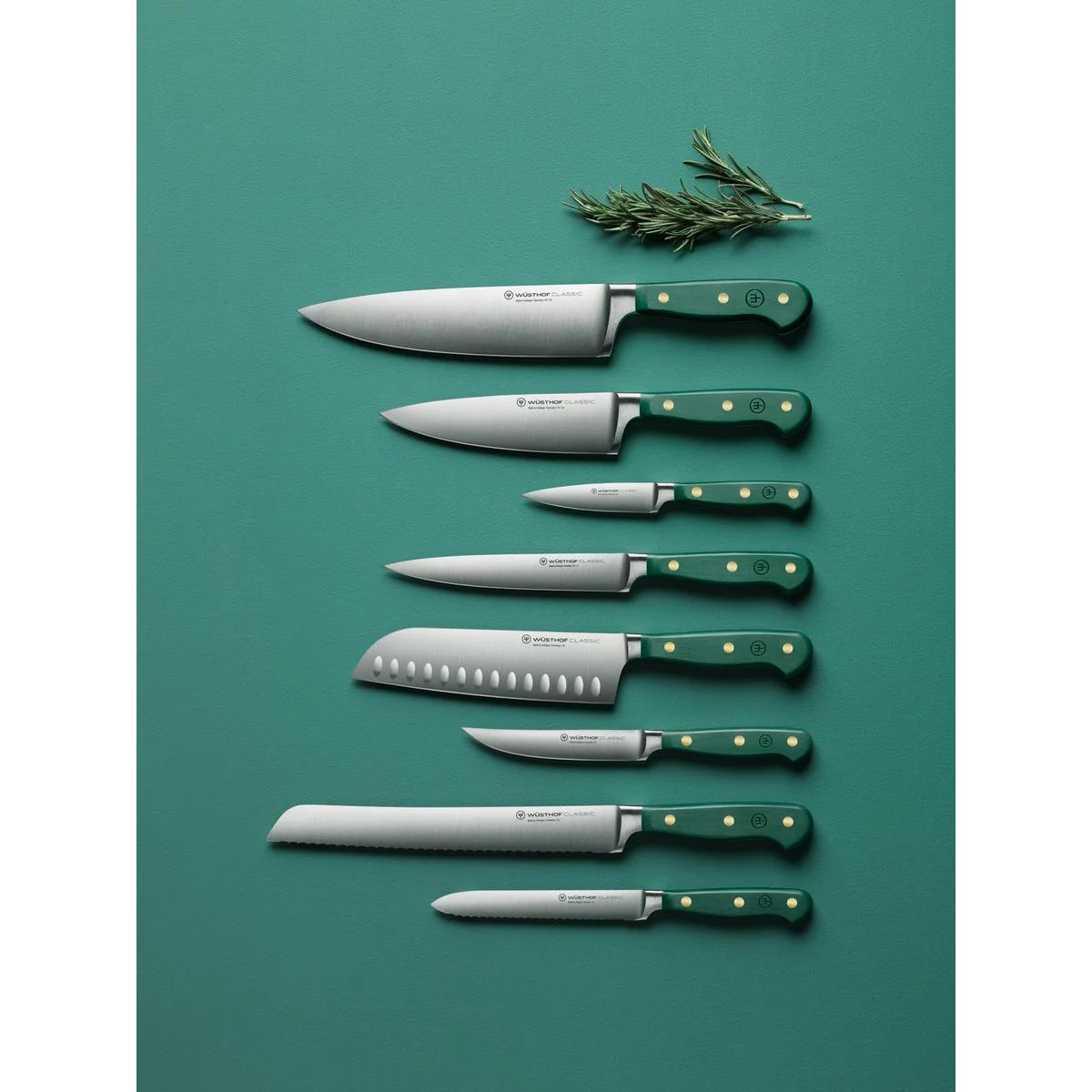 Wusthof Classic Colour Fresh Rosemary Double-Serrated Bread Knife 23cm - Image 2